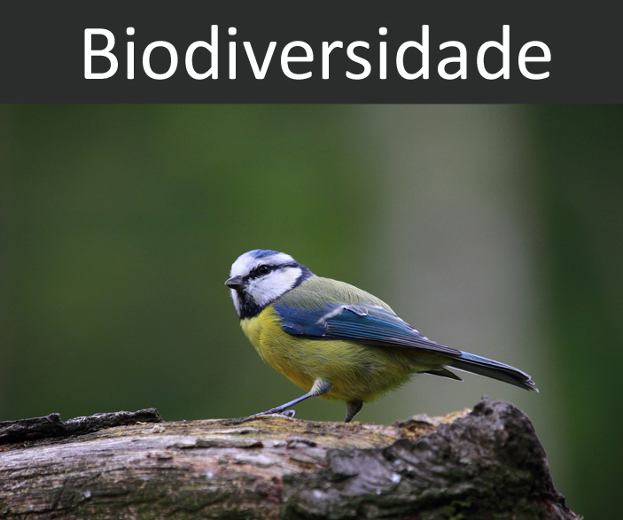 Biodiversidade