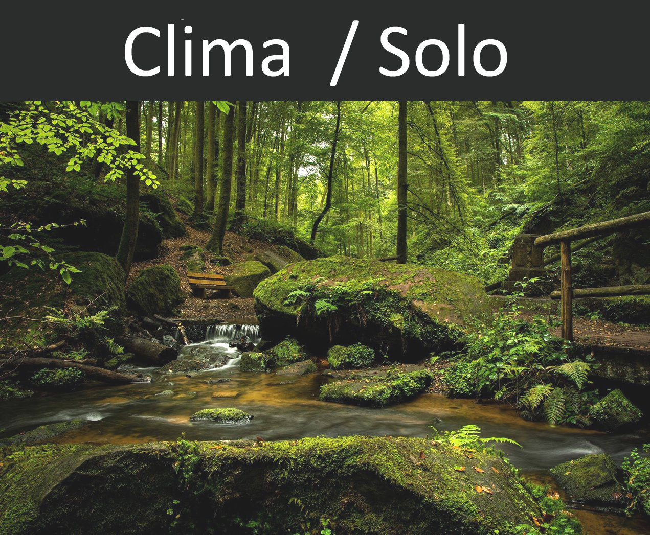 Clima Solo