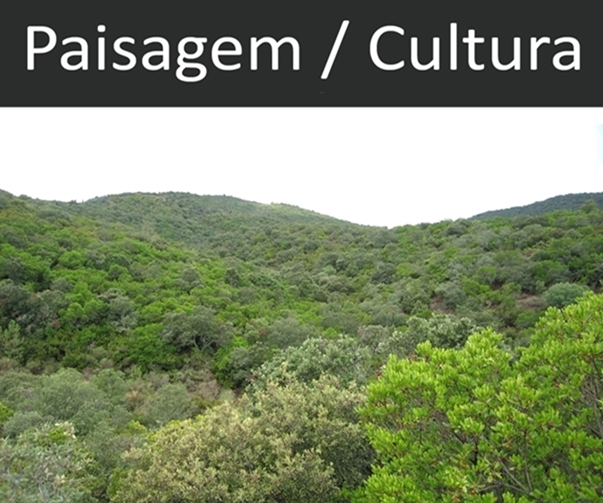 Paisagem Cultura