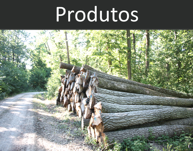 Produtos