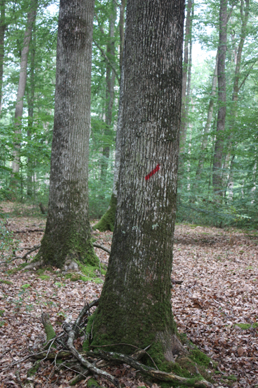produto9